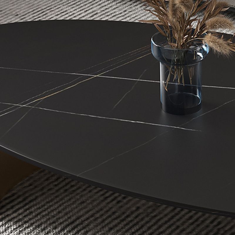 Modern Style Oval Coffee Table with Metal Steel/black/gold Base