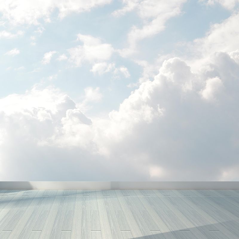 Photography Modern Style Cloud Mural Decal Mildew Resistant for Dining Room