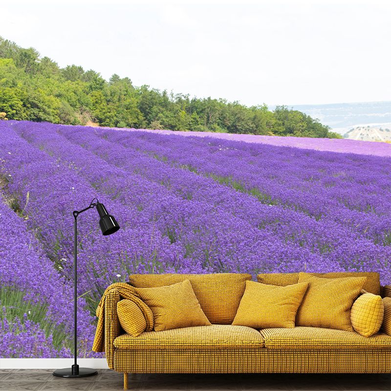Purple Lavender Field Mural Wallpaper Contemporary Wall Covering for Sleeping Room