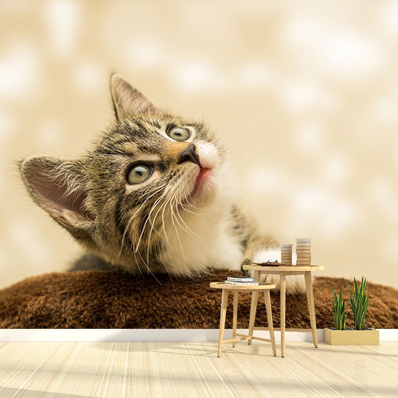 Cats Mildew Resistant Mural Wallpaper Sleeping Room Wall Mural