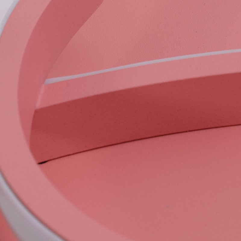 Modern Style Heart-shaped Ceiling Fixtures Metal 2 Light Ceiling Mounted Lights