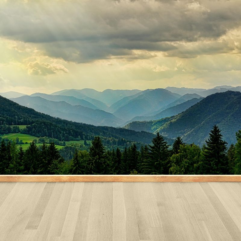Mountain Range Landscapes Mural Wallpaper in different seasons Indoor Wall Art for Home Decor