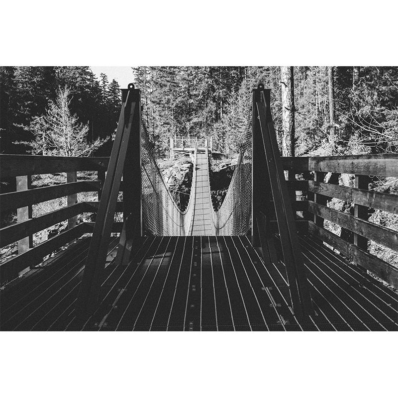 Photography Space Extension Mural Decorative Environment Friendly for Home