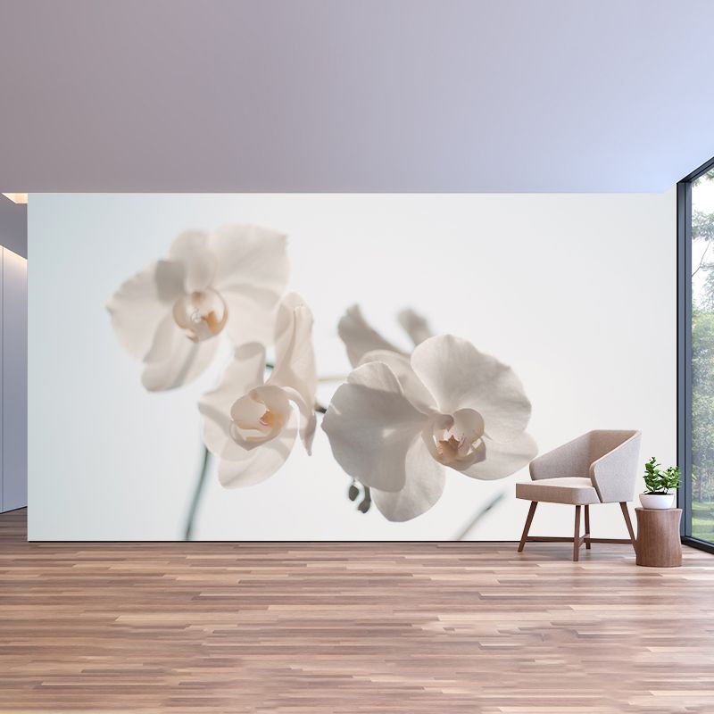 Beautiful Orchid Wall Murals for Home Decoration Stain Resistant, Personalised Size