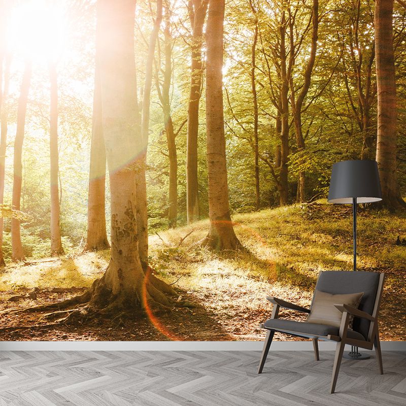 Photography Forest Mural Wallpaper Decorative Mildew Resistant Wall Decor