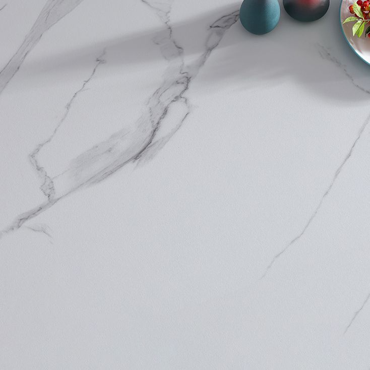 Modern Round Shape Kitchen Dining Table Sintered Stone Standard Dining Table with Pedestal Base