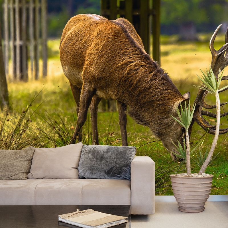 Deer Animal Mural Wallpaper Stain Resistant Wall Covering for Living Room