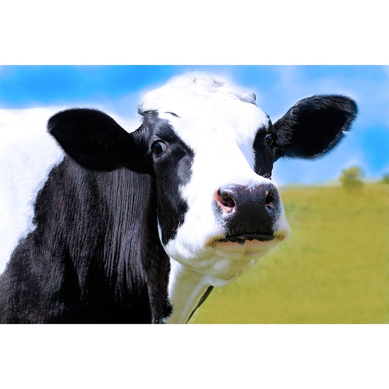 Milk Cow Wall Covering for Home Decoration Living Room Home Decor, Water Resistant