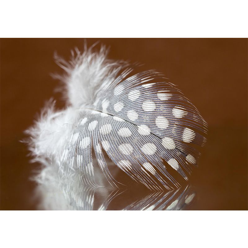 Eco-friendly Feather Decorative Murals Room Wall Murals Wallpaper