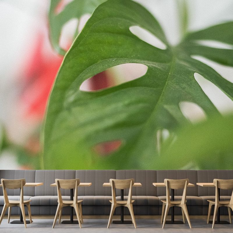 Customized Tropical Monstera Mural Wallpaper Kitchen Murals Backsplash Mildew Resistant