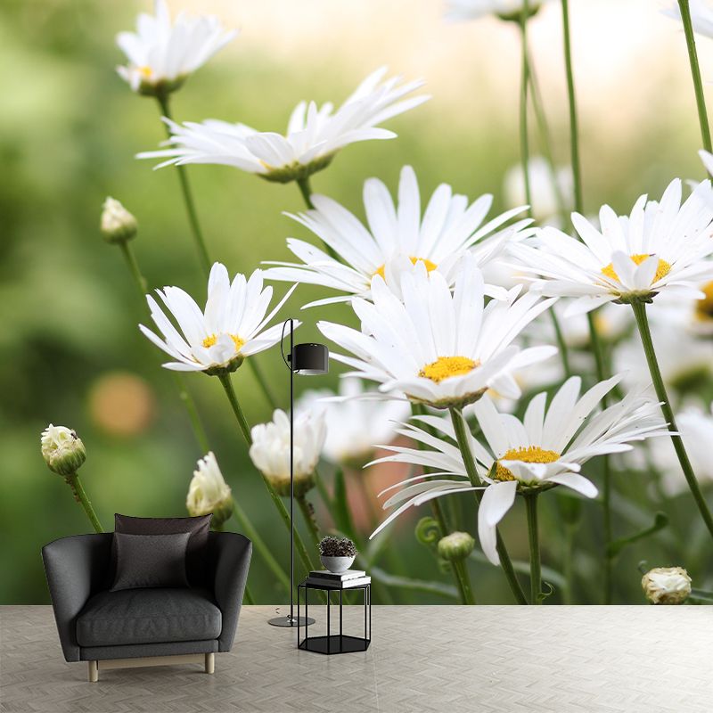 Customized Chamomile Flower Wall Mural Horizontal Photography for Sleeping Room Decoration