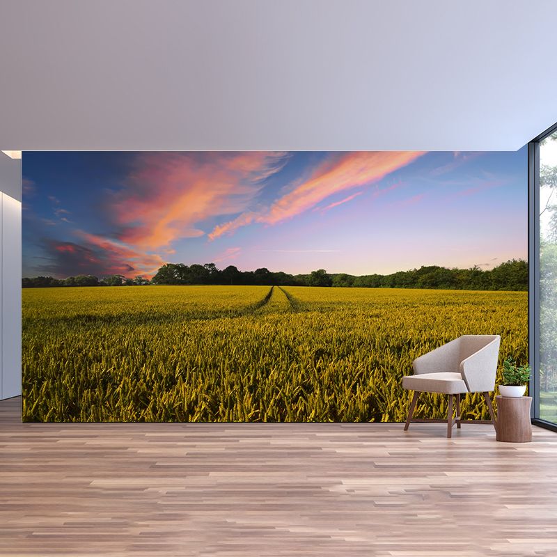 Modern Barley View Mural Wallpaper Light Color Wall Covering for Dining Room