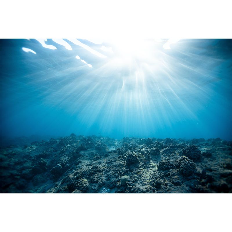 Tropix Sea Underwater Look-Up Murals Stain Resistant Wall Covering for Living Room