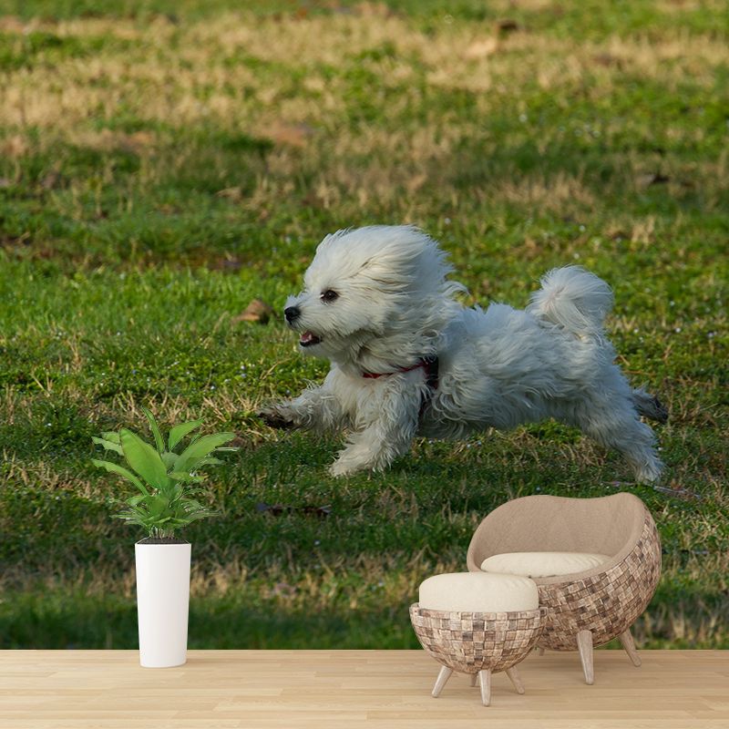 Different Kinds Dog Mural Decal Customized Modern Wall Covering for Bedroom