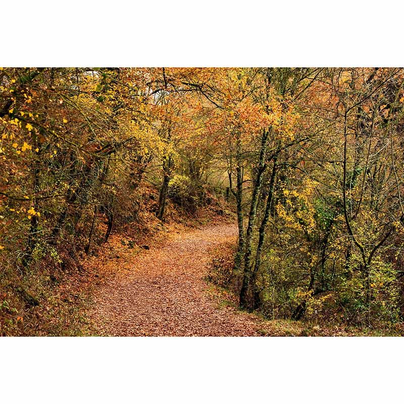 Mildew Resistant Wall Mural Wallpaper Space Extension Pattern for Home Decor