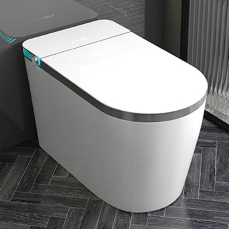 Contemporary Ceramic Flush Toilet Floor Mount Toilet with Seat for Washroom