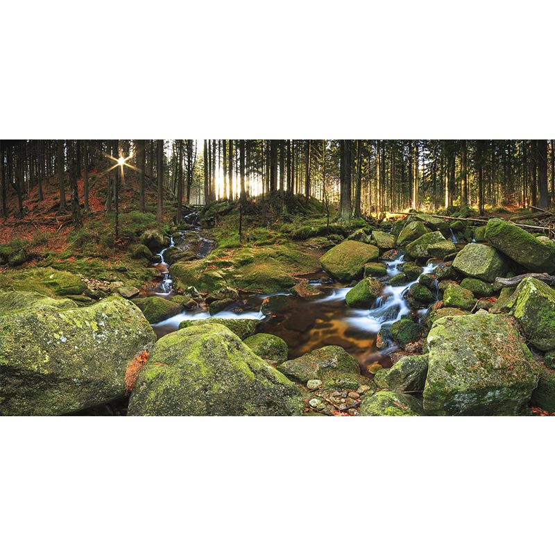 Tropical Forest Creek Wallpaper Mural in Green Living Room Wall Decor, Custom Size