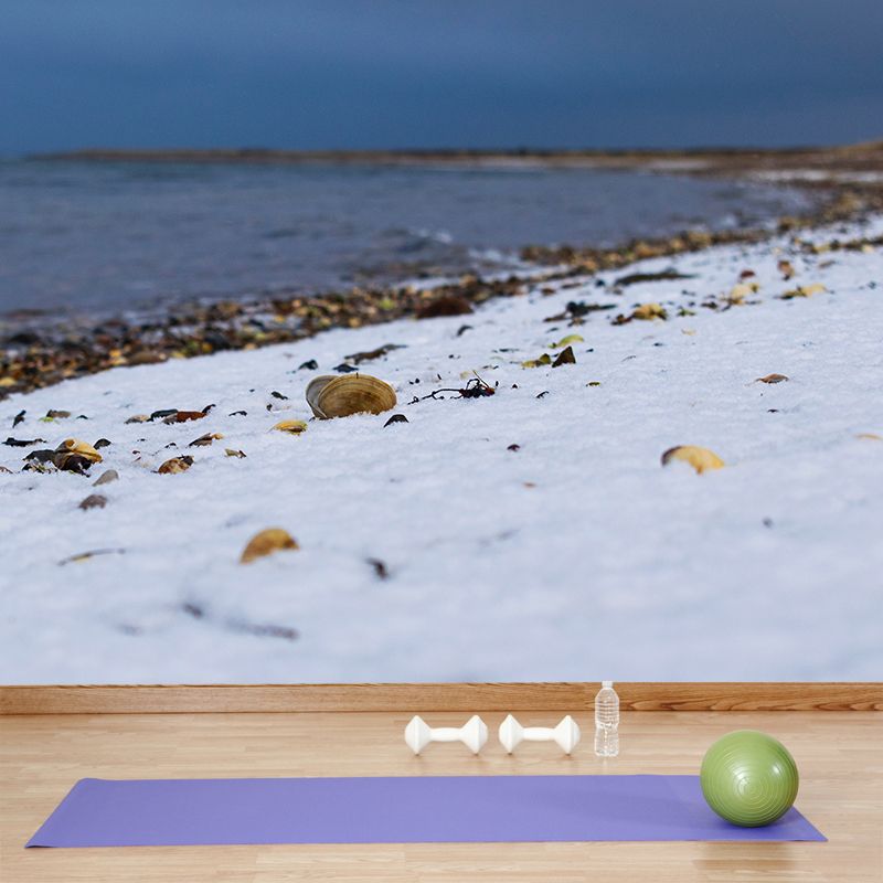 Sea Beach Mildew Resistant Mural Wallpaper Indoor Wall Mural