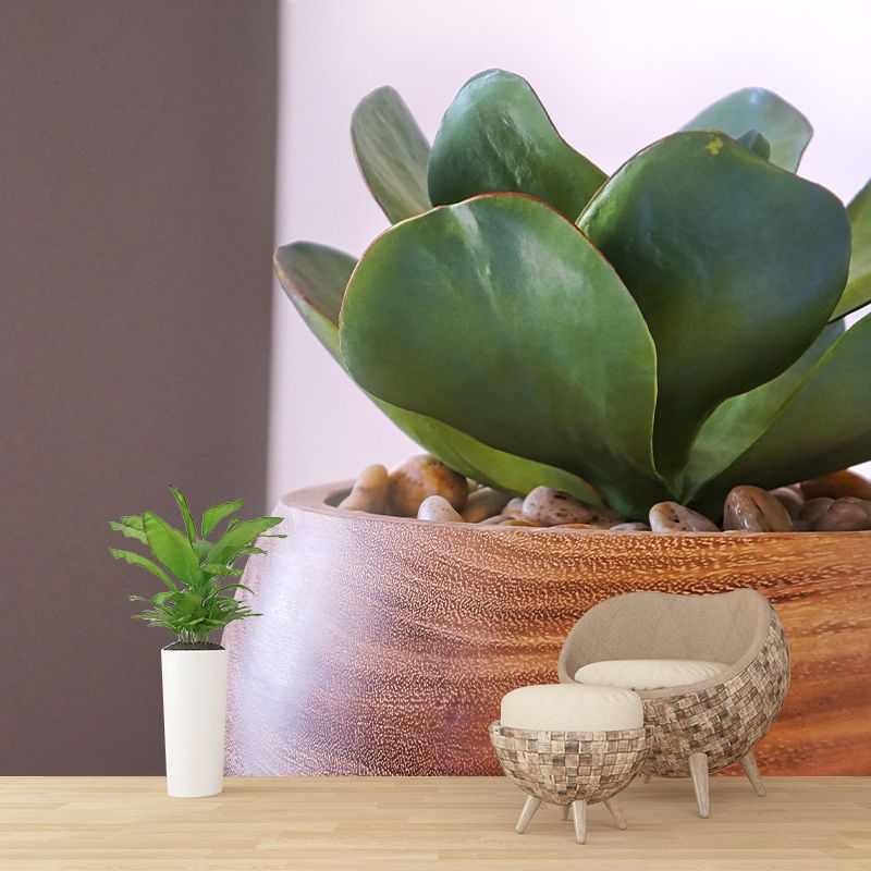 Plant Indoor Decorations Mural Wallpaper for Sleeping Room, Mildew Resistant