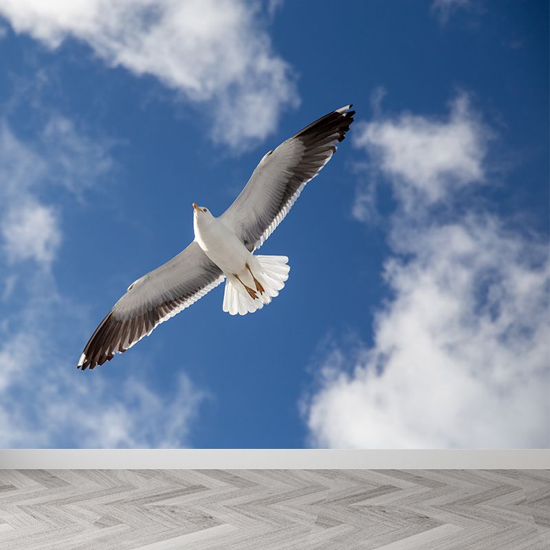Seagull Wall Paper Murals for Home Blue and White, Custom Size Available