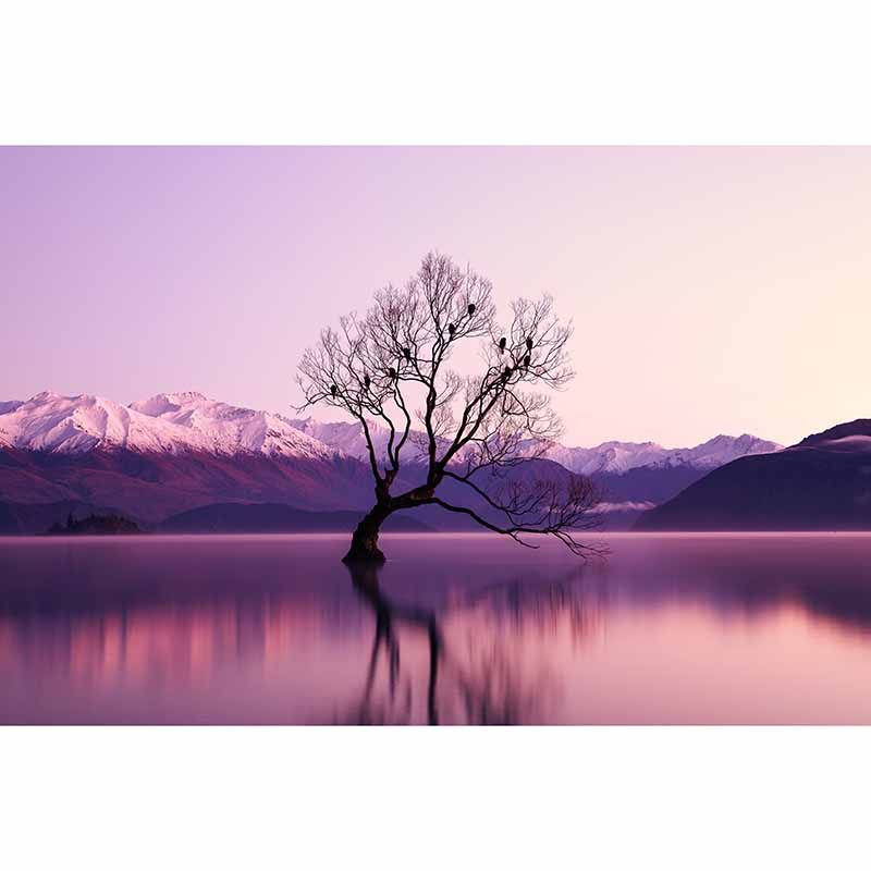 Setting Sun Resistant Mural Wallpaper Environment Friendly Sleeping Room Wall Mural