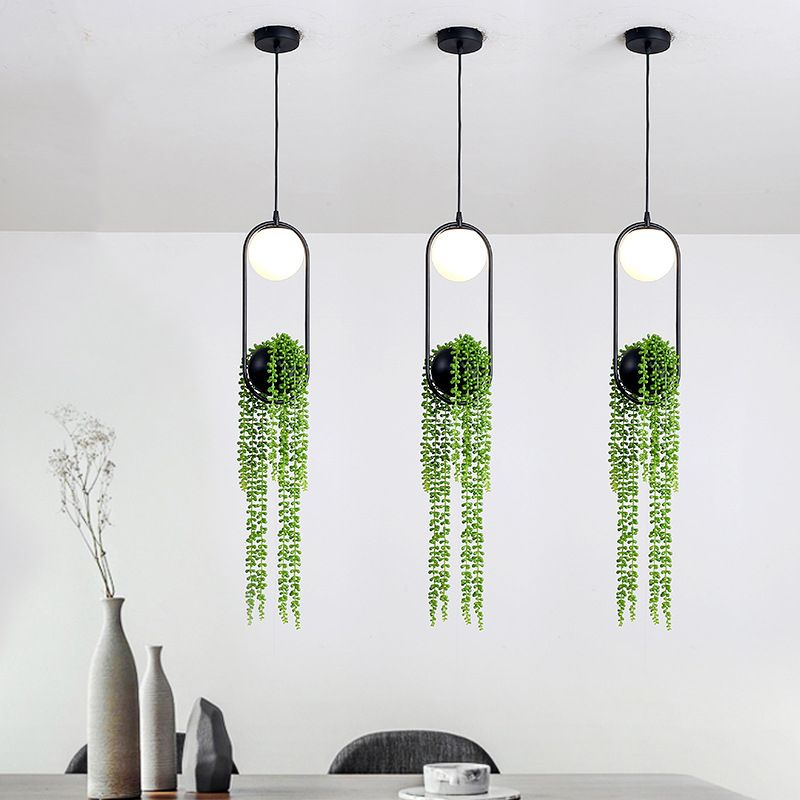 Industrial Global Plant Hanging Light 1 Bulb Metal LED Ceiling Suspension Lamp in Black