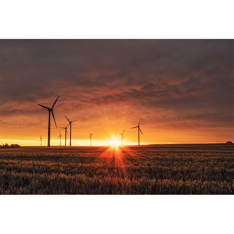 Light Color Windmill Wallpaper Mural Sleeping Room Wall Mural