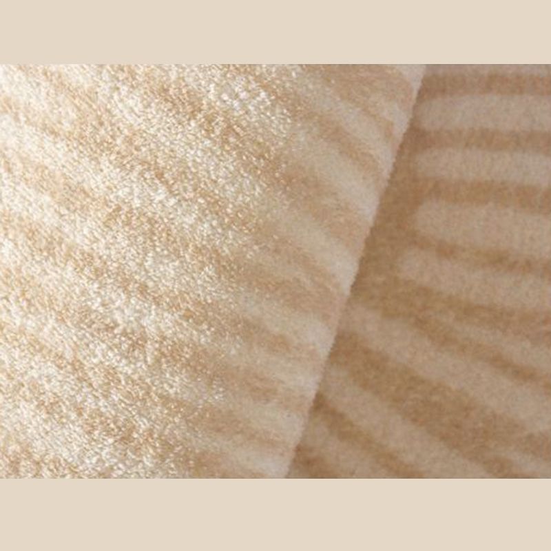 Contemporary Indoor Rug Modern Apricot Rug Polyster Washable Thickened Area Rug for Living Room