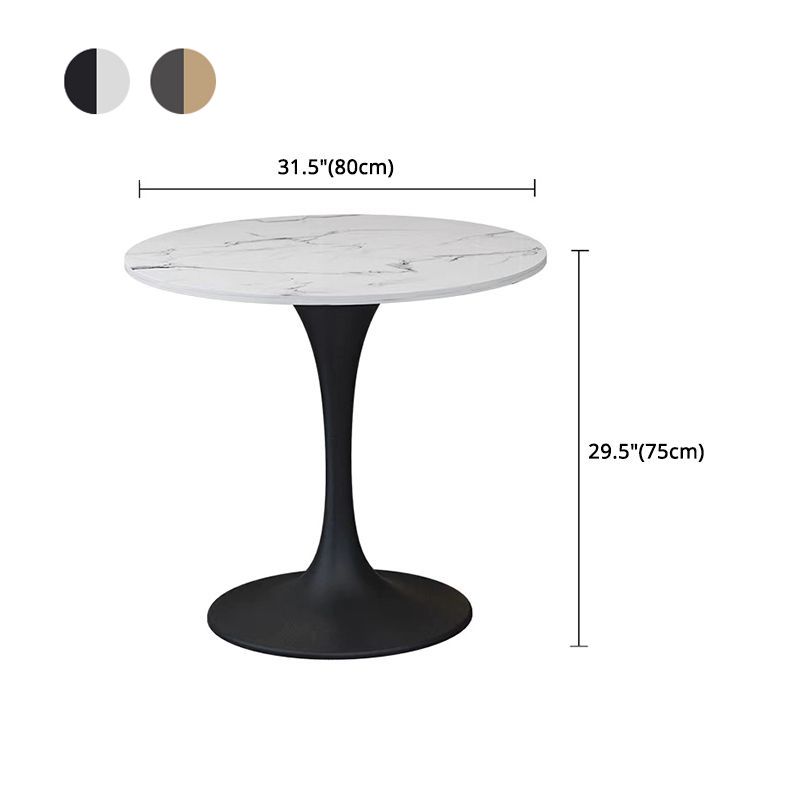 Modern 1/2/5 Pieces Sintered Stone Dining Set Dining Furniture Set /Separate Items