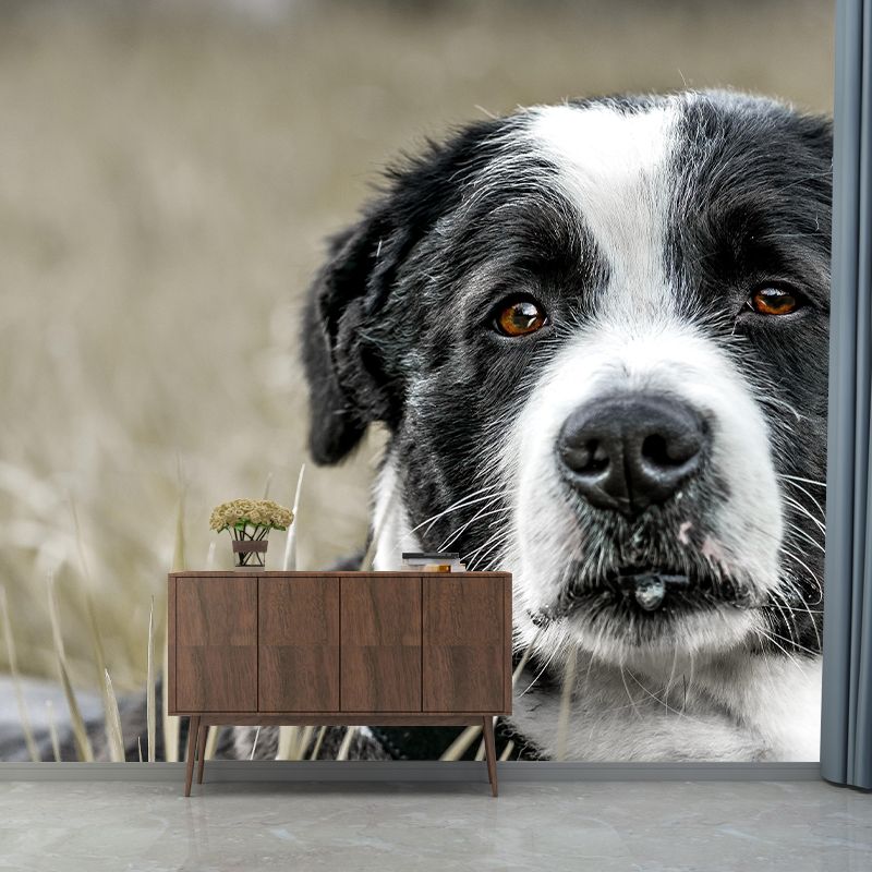 Lovely Dog Mural Wallpaper Stain Resistant Wall Covering for Sitting Room
