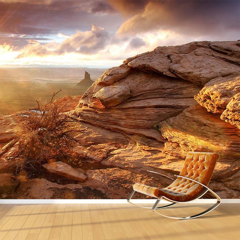 Brown Savannas Sunset View Mural Stain Resistant Modern Living Room Wall Covering