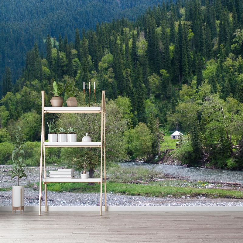 Pine Forest View Murals for Sleeping Room Home Decor, Moisture Resistant