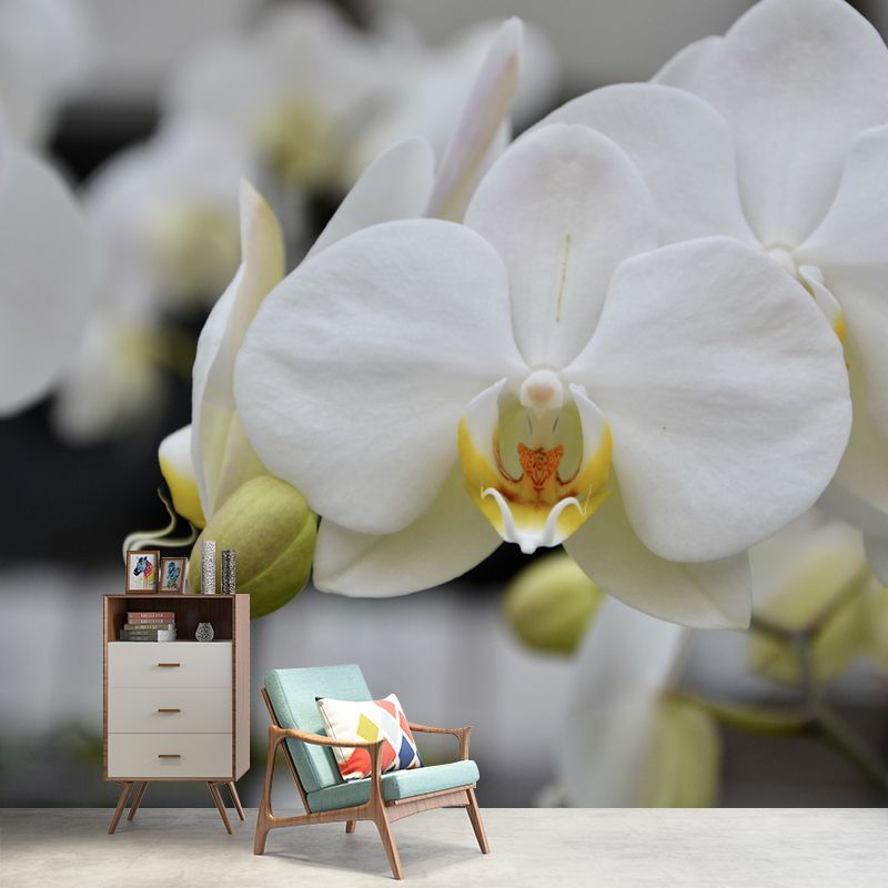 Beautiful Orchid Mural Stain Resistant Wall Covering for Sleeping Room