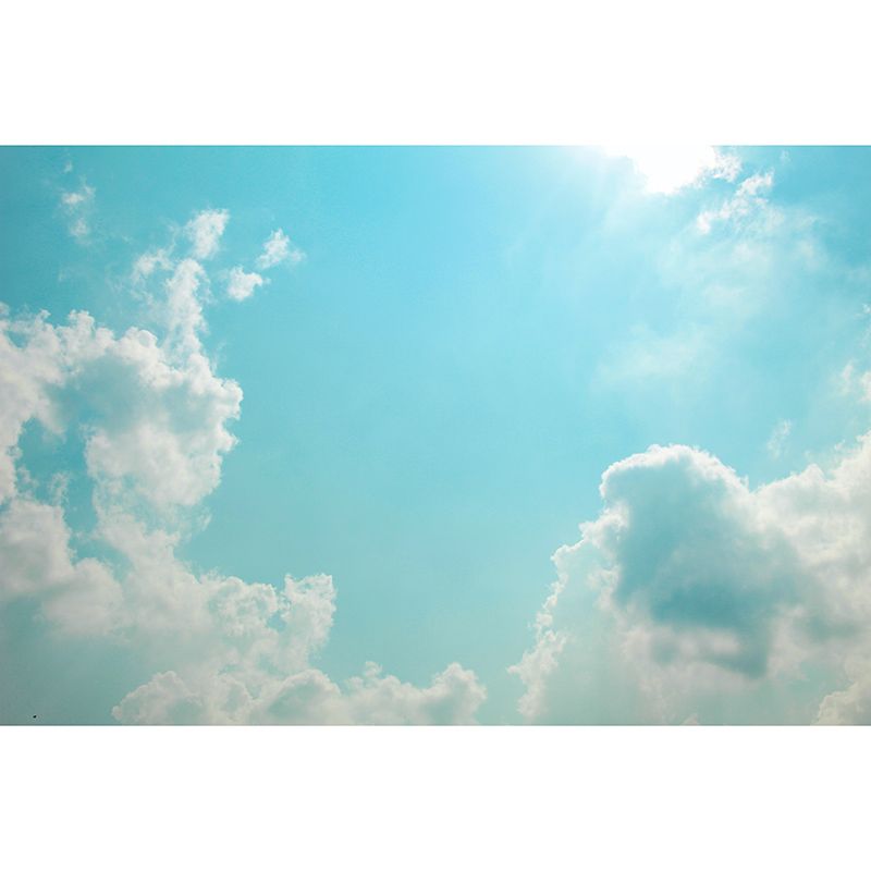 Decorative Wall Mural Wallpaper Sky Environmental Sitting Room Wall Mural