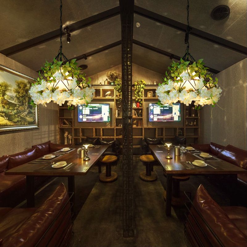 Diamantkooi met één bulpkooi hangende lichtkit industriële ijzeren plafond hanger met decoratieve plant