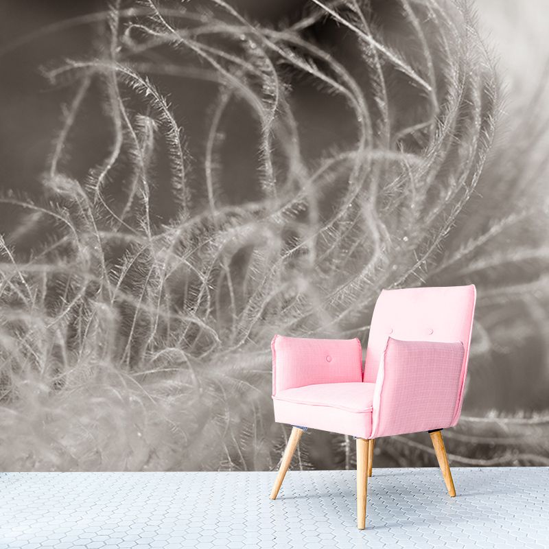 Washable Illustration Mural Wallpaper Feather Indoor Wall Mural