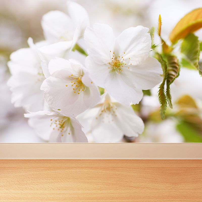 White Florentine Wall Mural Moisture Resistant Contemporary Bathroom Wall Covering