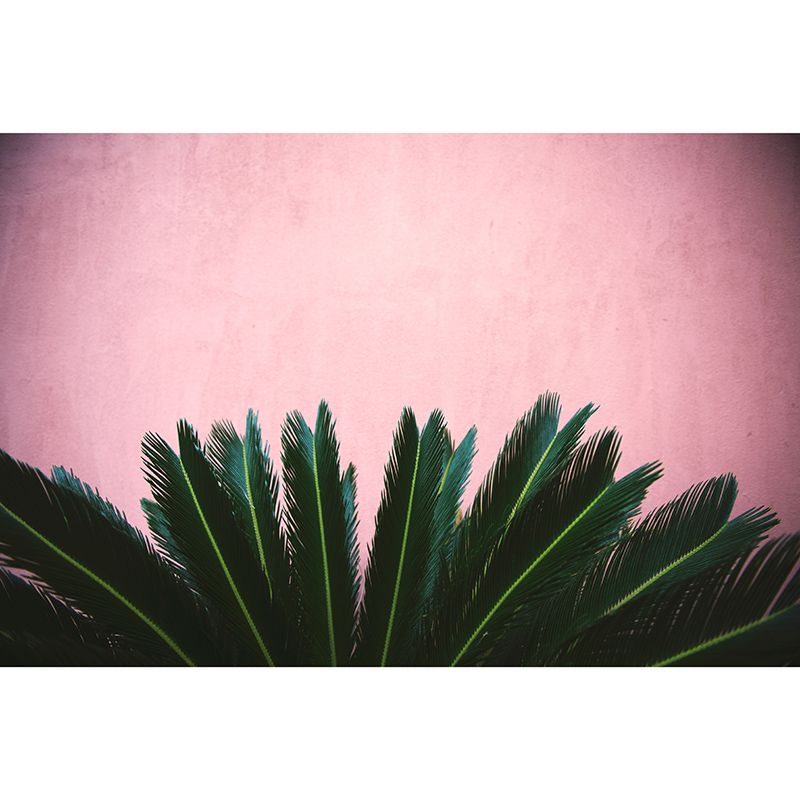 Photography Tropical Plants Mural Mildew Resistant Wallpaper Sleeping Room Wall Mural