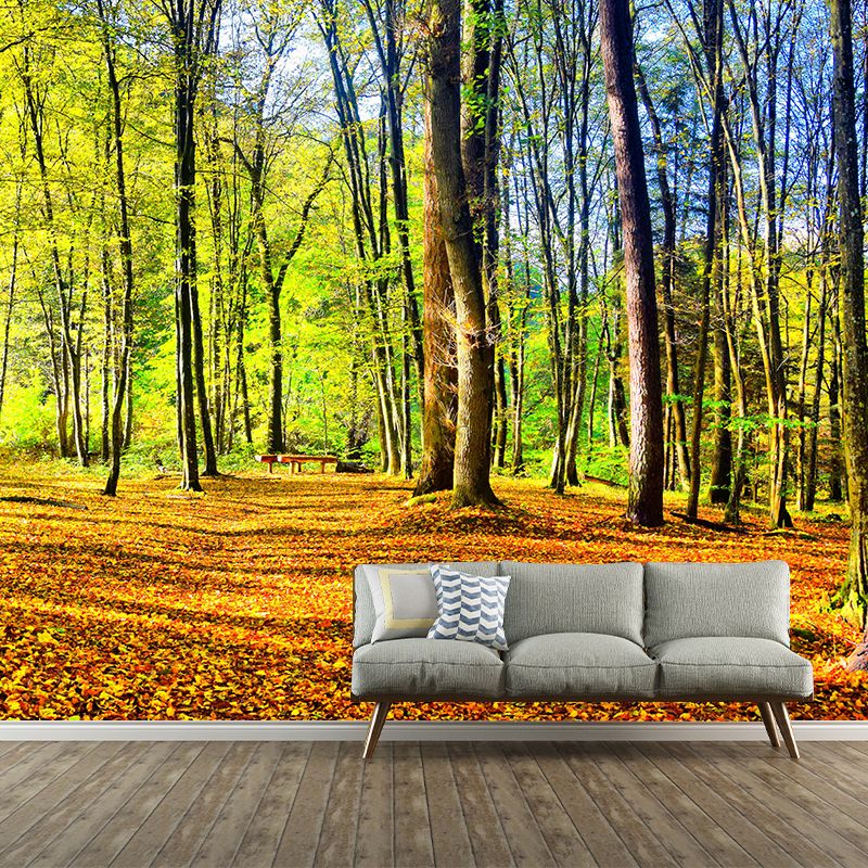 Forest Landscape Removable Wall Mural for Sitting Room, Water Resistant