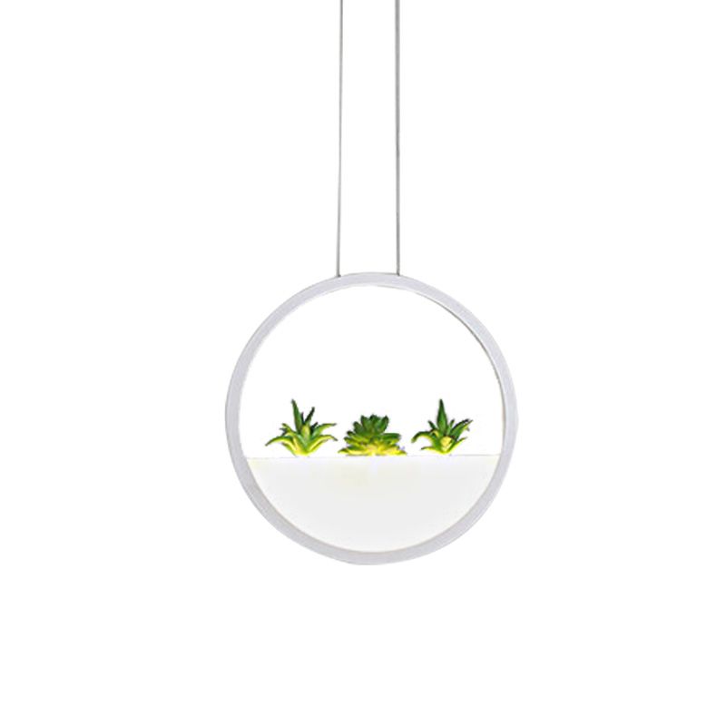 Pendre de chevet circulaire moderniste de 11 "/ 14" LED de large lampe à plafond accrochage en blanc avec décoration de plantes, lumière blanche / chaude