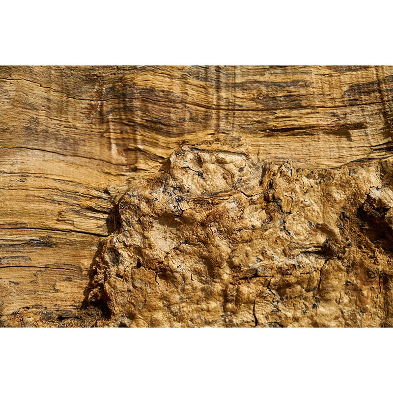 Customized Industrial Wood Grain Mural Mildew Resistant Decorative Wall Art