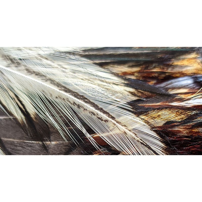 Feather Mural Modern Light Color for Girls Bedroom Wall Art, Custom Size