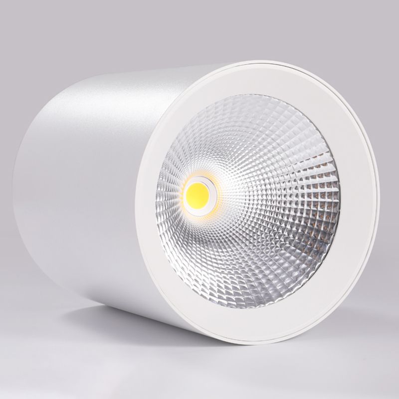 Cylinder Metal Ceiling Light Fixture Modern Style LED Ceiling Flush Mount