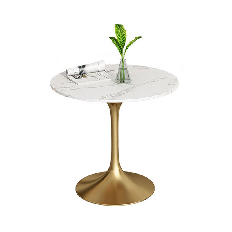 Metal Traditional Luxury Round Dining Table Sintered Stone Table with Tulip Base