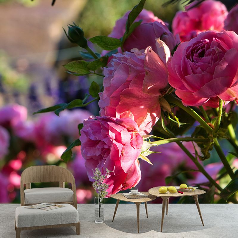 Blooming Roses Removable Mural Wallpaper Stain Resistant Decor for Bedroom