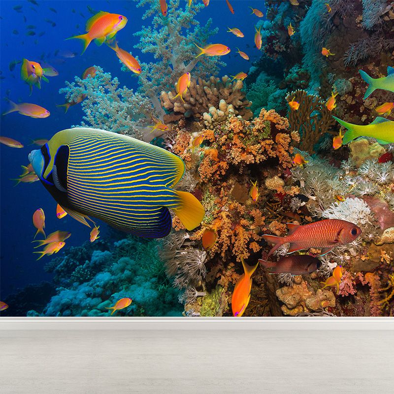 Tropical Underwater World Wallpaper Mural Colorful Moisture Resistant Wall Covering for Kids Room