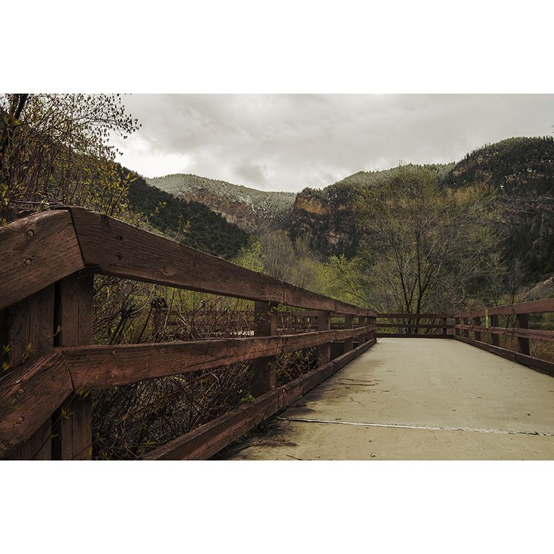 Photography Environment Friendly Mural Wallpaper Outdoor Path Bedroom Wall Mural