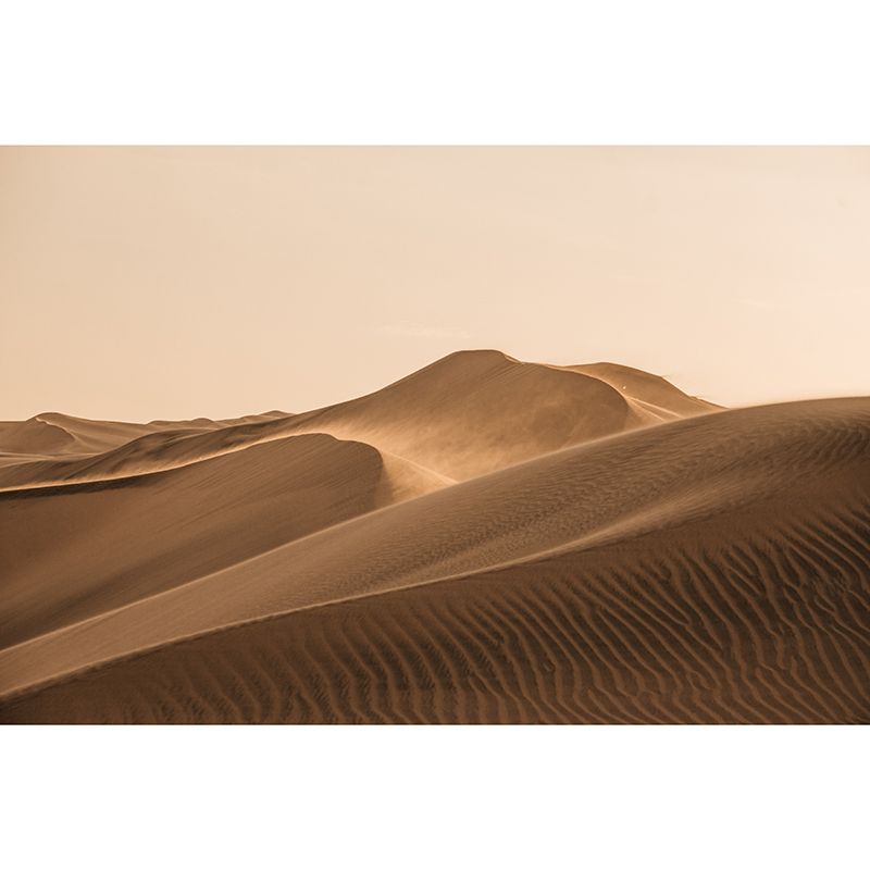 Mural Desert Landscape Photography Wallpaper Environment Friendly Living Room Wall Mural