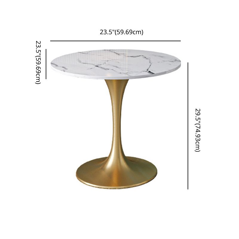 Scandinavian Kitchen Dining Room Set with Sintered Stone Top and Gold Base Dining Furniture