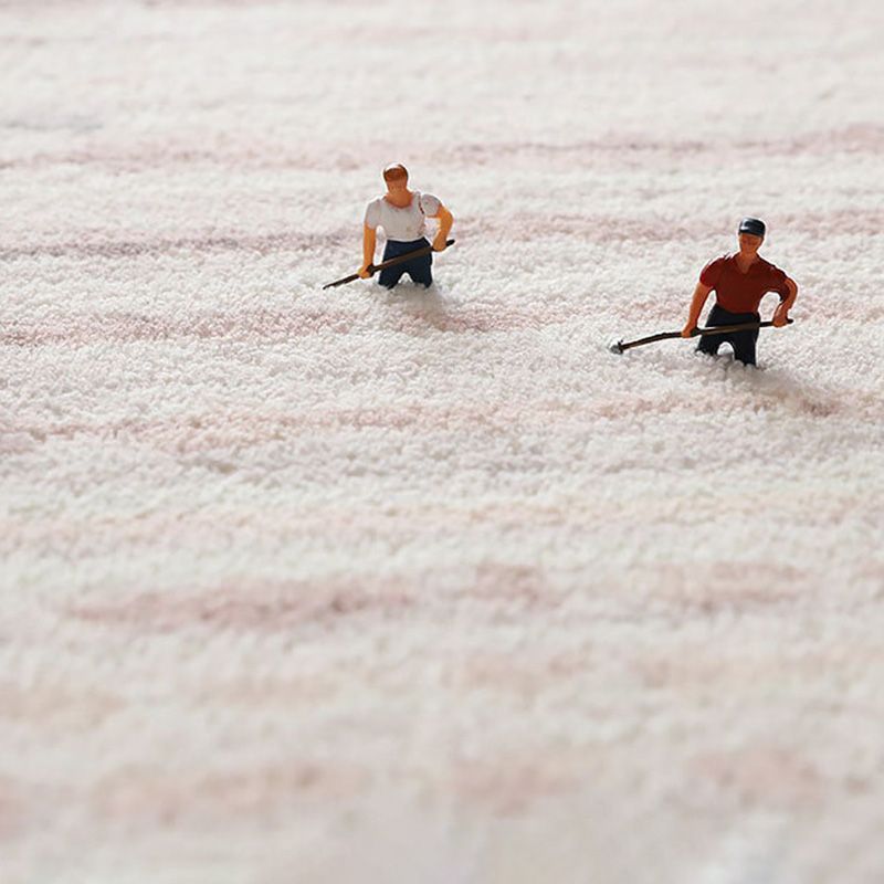 Modern Carpet Plaid Print Home Decor Rugs Stain Resistant Living Room Carpet